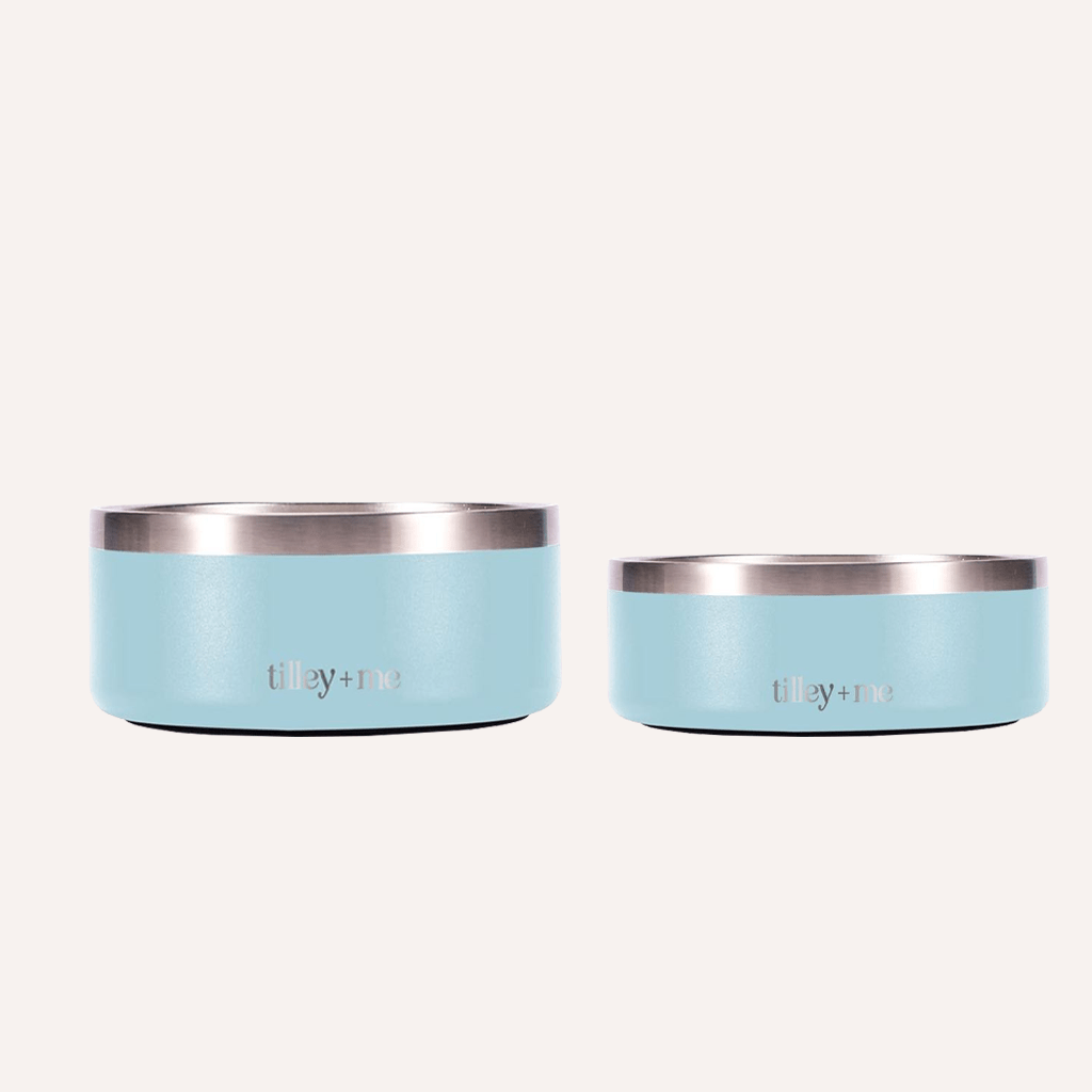 Stainless Steel Pet Bowl – Non-Slip, Durable & Dishwasher Safe | 32oz and 64oz - Lolomo!
