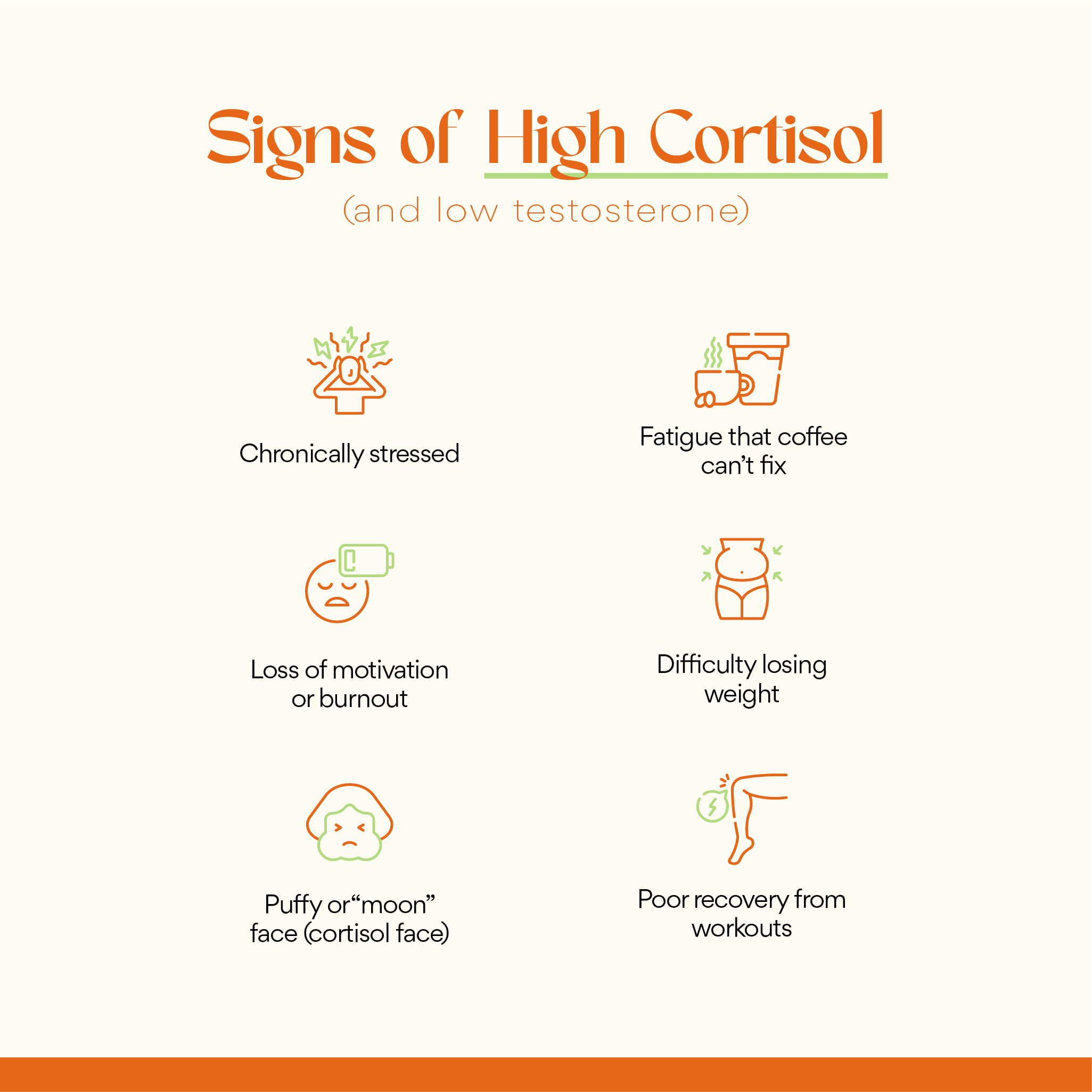 Cortisol, Who? - Lolomo!
