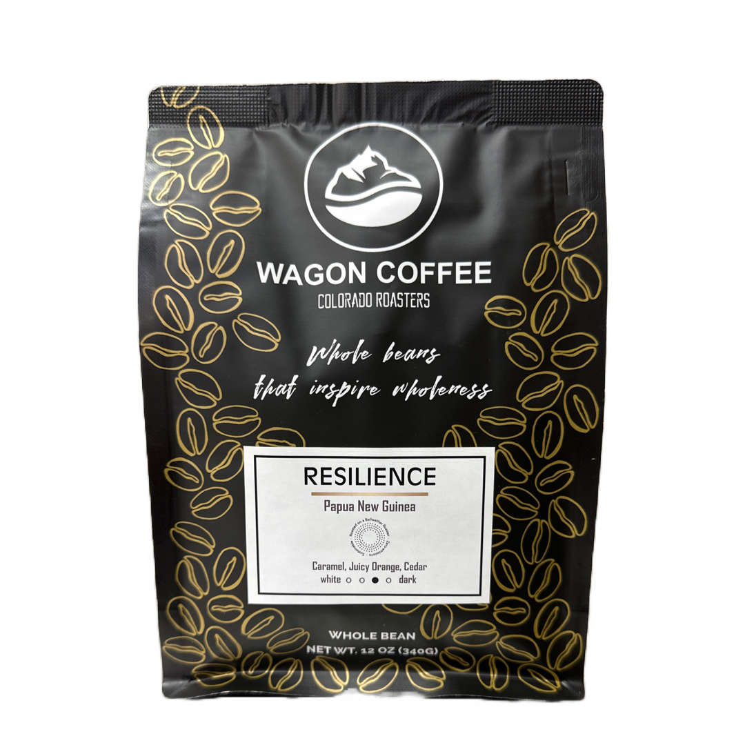 Résilience