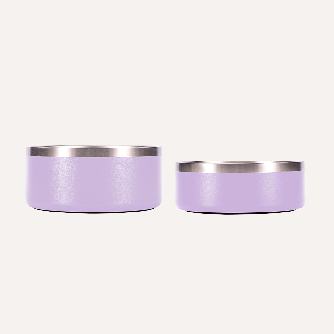 Stainless Steel Pet Bowl – Non-Slip, Durable & Dishwasher Safe | 32oz and 64oz - Lolomo!