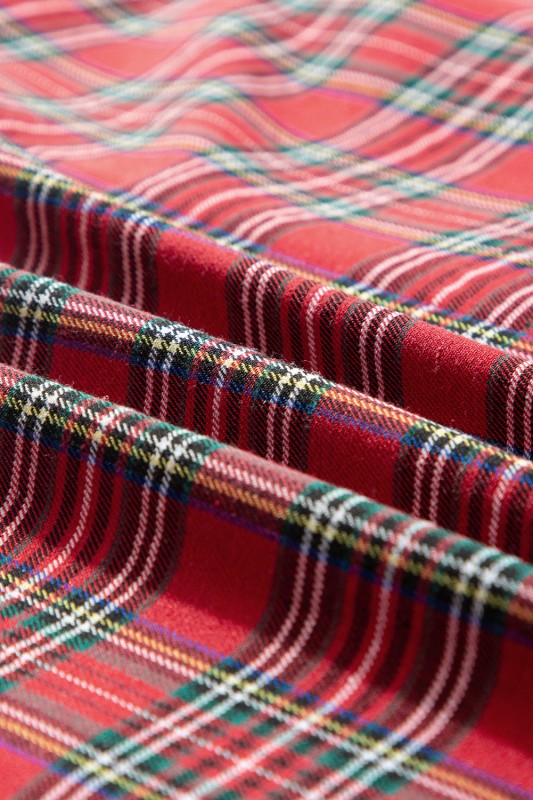 Plus Size Christmas Plaid Shirt and Pants Set