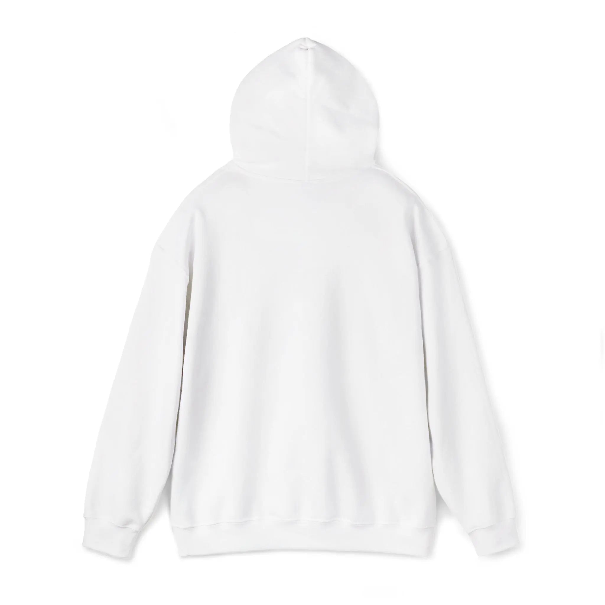 Nova Clothing Hooded Sweatshirt - Lolomo!