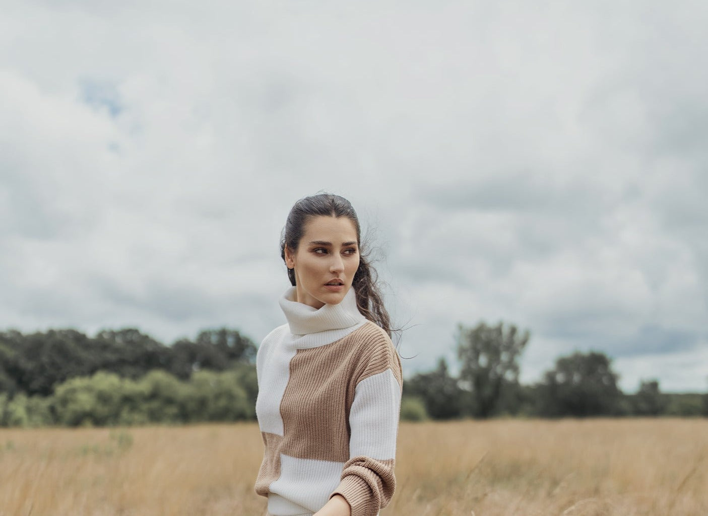 Cream Tan Sweater