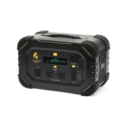 Lion Summit - Lolomo!