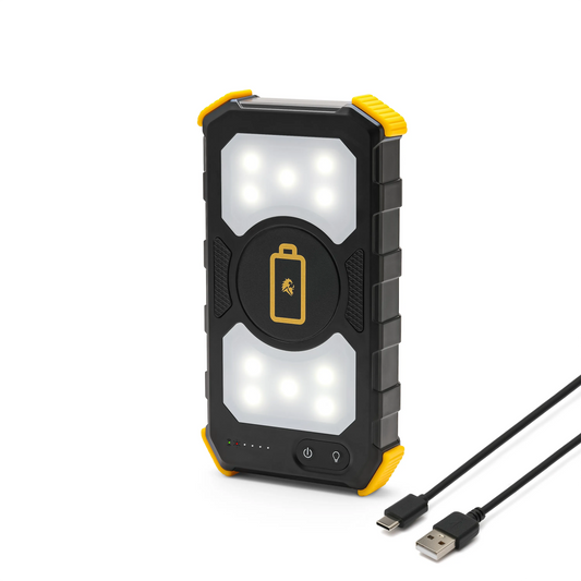 Lion Prowler - Lolomo!