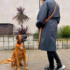 PVC Dog Collar - All Weather Waterproof Durable & Odor-Resistant