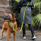 Laisse pour chien en PVC mains libres - Imperméable, durable et résistante aux odeurs