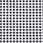 Black and White Check Bandana