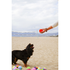 Balle de tennis pour chiens