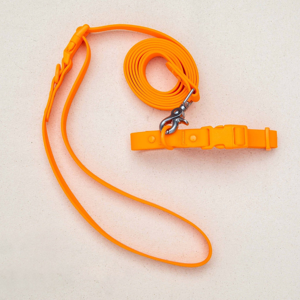 Laisse pour chien en PVC mains libres - Imperméable, durable et résistante aux odeurs