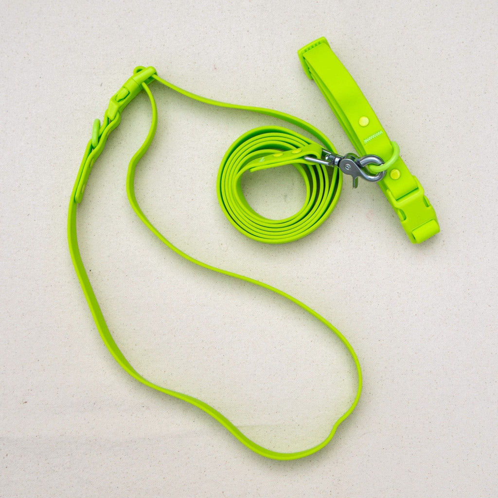 Laisse pour chien en PVC mains libres - Imperméable, durable et résistante aux odeurs