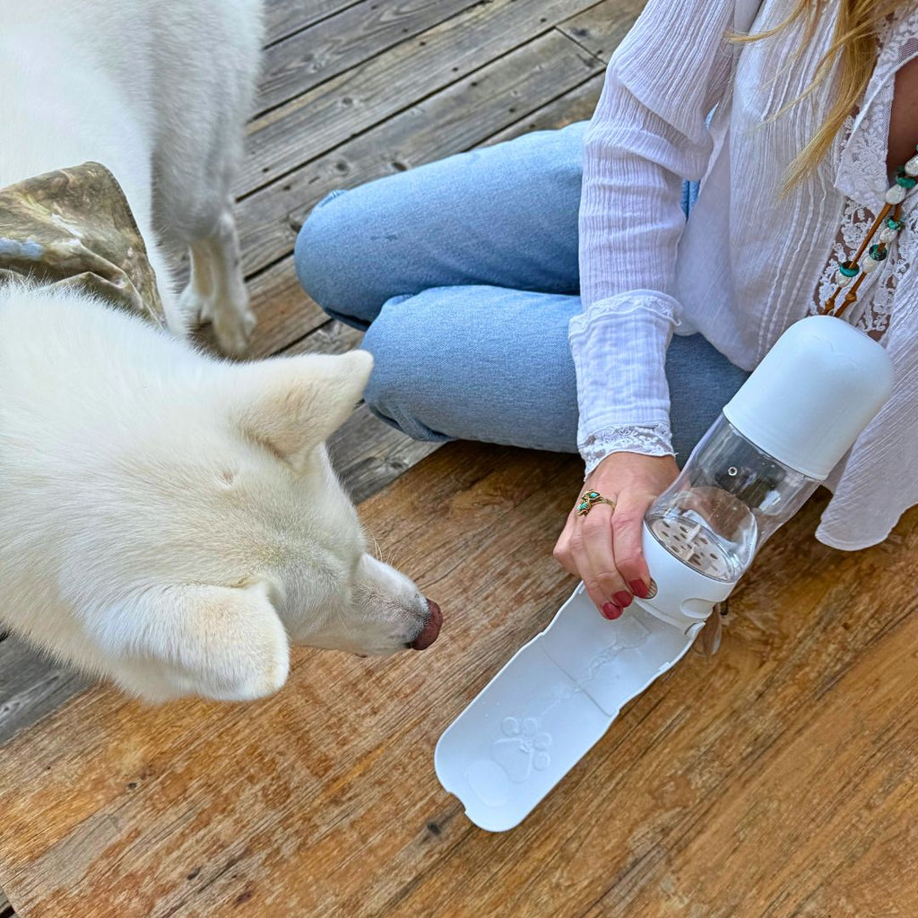 Bouteille d'eau de voyage pour chien avec porte-friandises – Étanche et sans BPA 350 ml