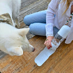 Bouteille d'eau de voyage pour chien avec porte-friandises – Étanche et sans BPA 350 ml