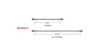 Metal Rod for Wall Hangings - Lolomo!