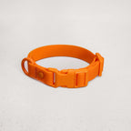 Collar de PVC para perros: resistente al agua, duradero y a los olores.