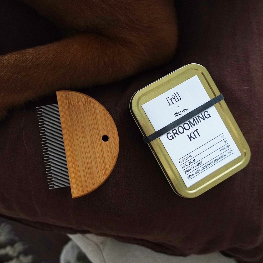 Peigne anti-puces en bambou pour chiens et chats – Doux et écologique