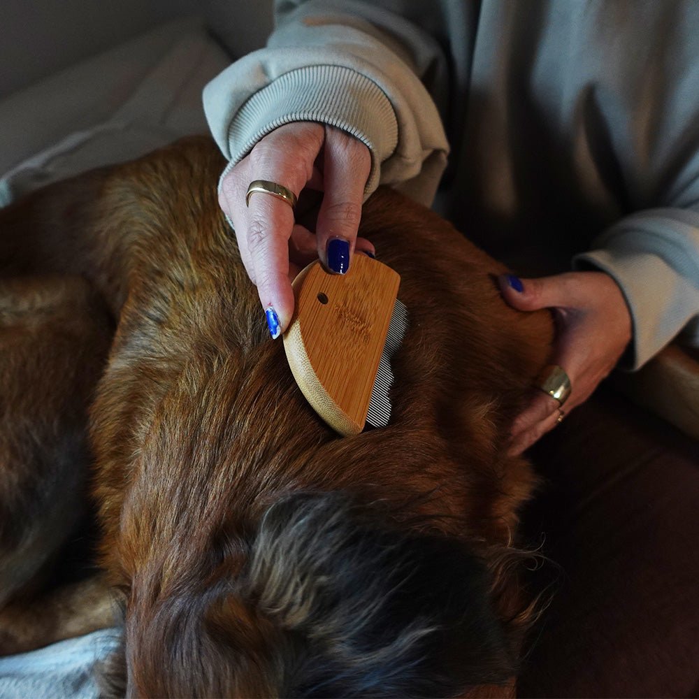 Peigne anti-puces en bambou pour chiens et chats – Doux et écologique
