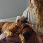 Peigne anti-puces en bambou pour chiens et chats – Doux et écologique
