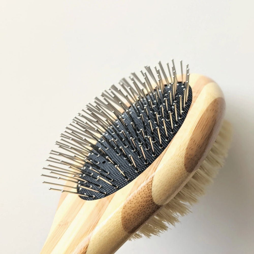 Brosse double face pour animaux de compagnie – Poils et fil pour la perte et le démêlage
