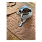 Convertible Dog Bag - Portable Travel Mat Bag for Pet Owners