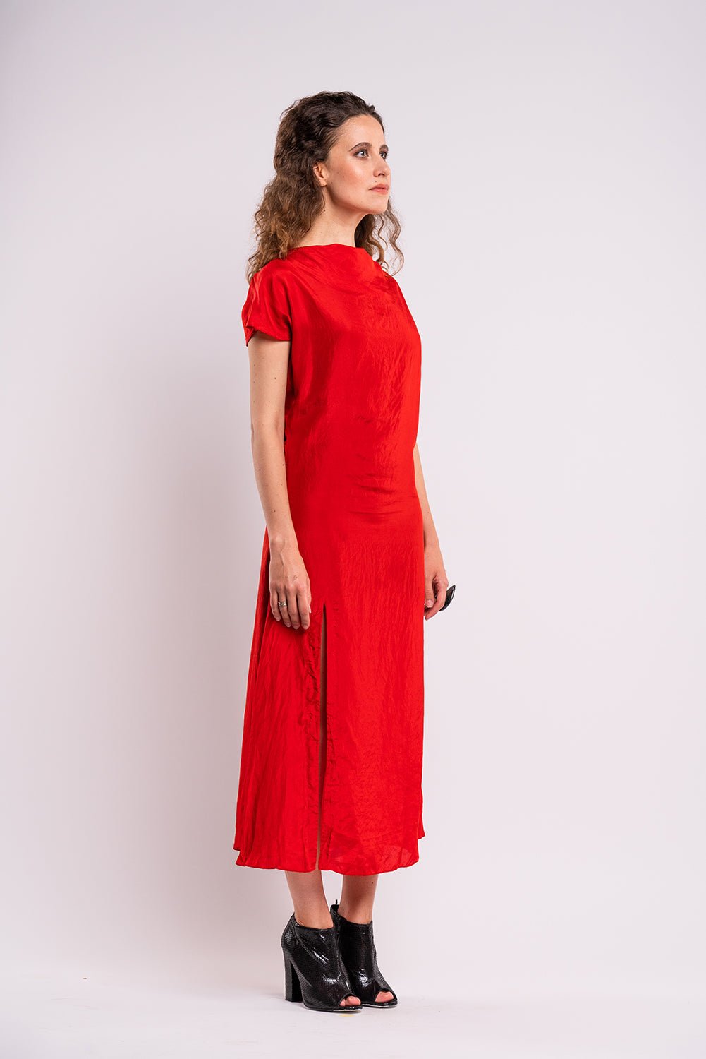 Silk Dress - Lolomo!