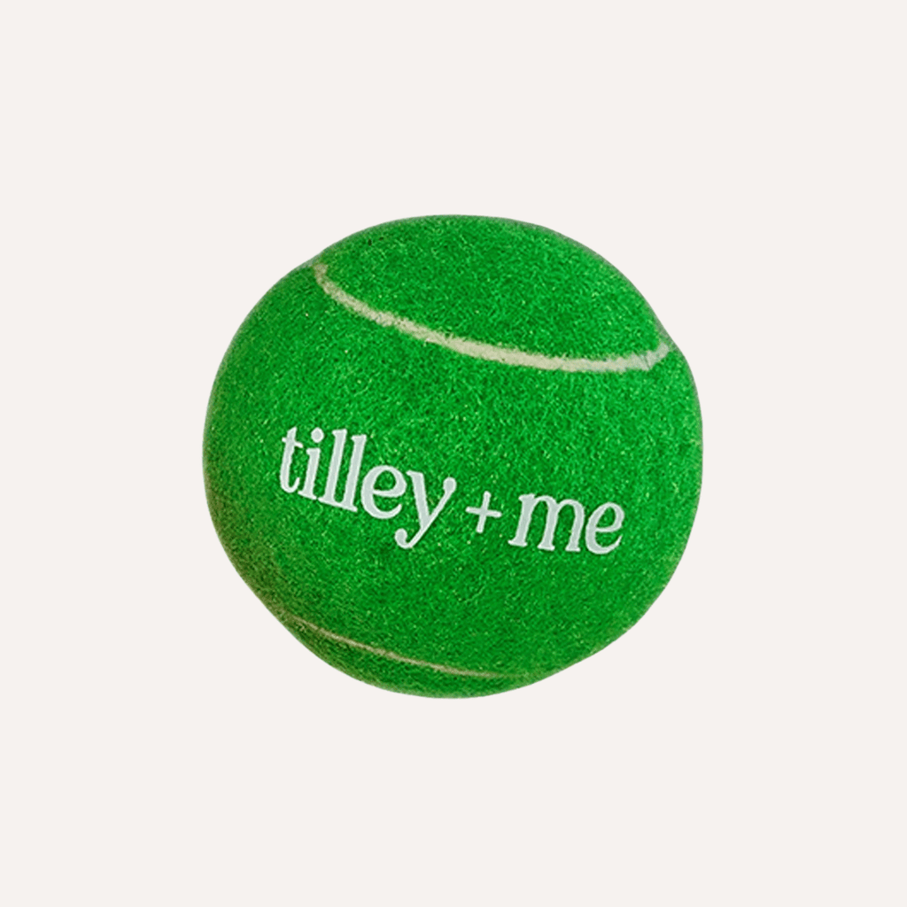 Balle de tennis pour chiens