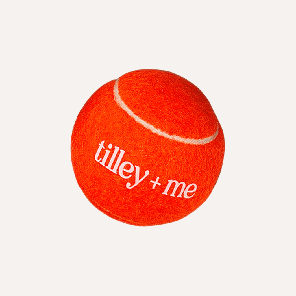 Balle de tennis pour chiens