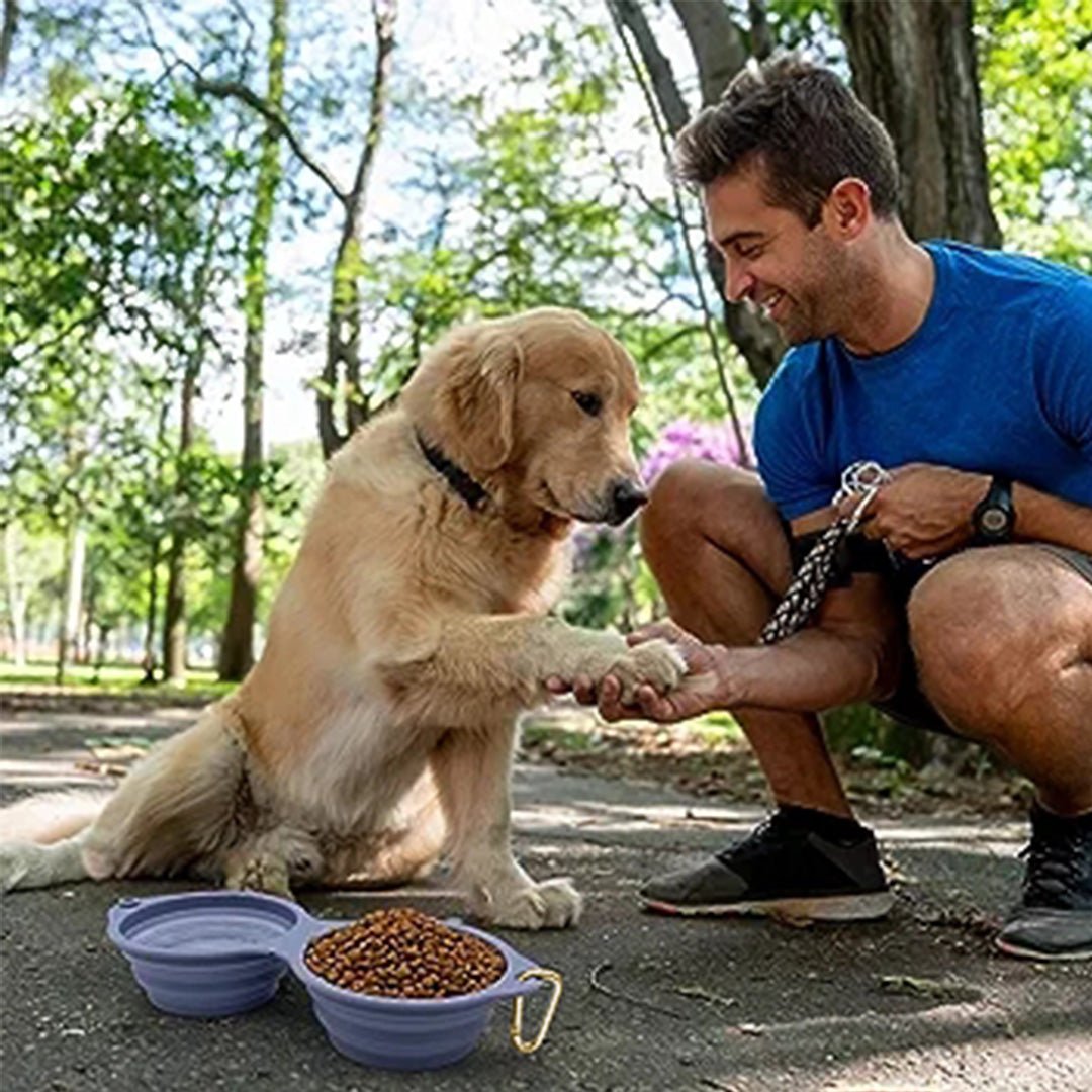 Gamelle double pliable pour animaux de compagnie – Légère et portable pour les voyages